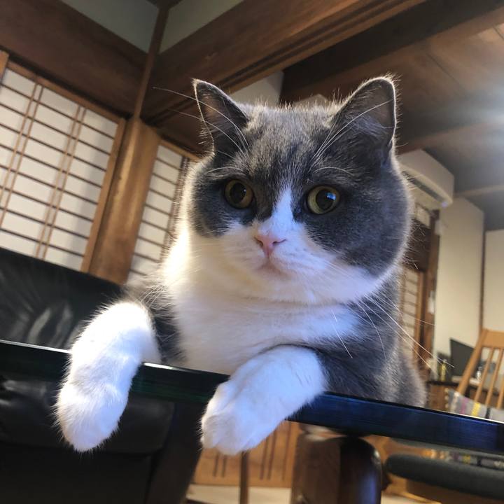 E26e0c98 13a6 41f2 8590 977f0be31d85 1628045872232