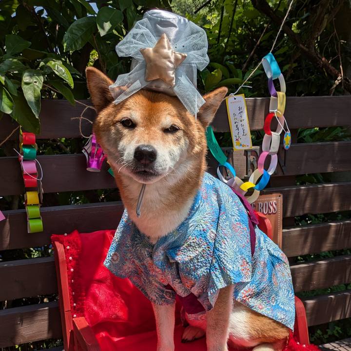 E26e1674 06e2 44fb 81ec ad4ebecb6335 1720327760842