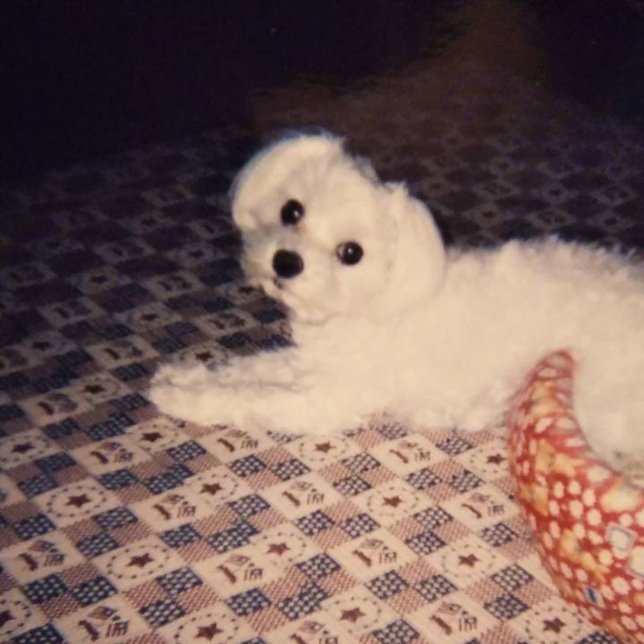 E26e19f2 6290 47b9 a7fe 7acafb9d04de 1540720981891