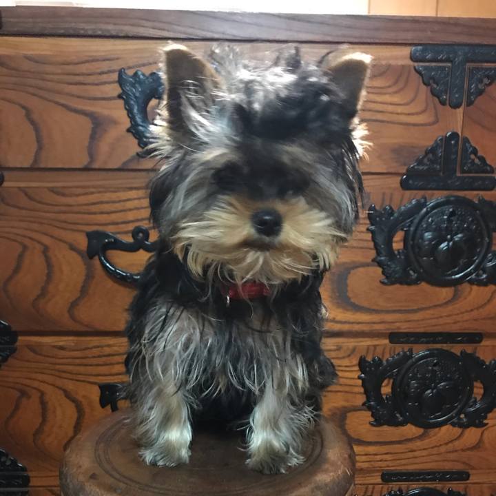 E26e3ca7 1373 4307 b5f0 25c293aa3970 1620214720896