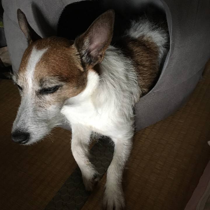 E26eaad3 b93a 4e07 8d88 55547c14b8ef 1620434061674