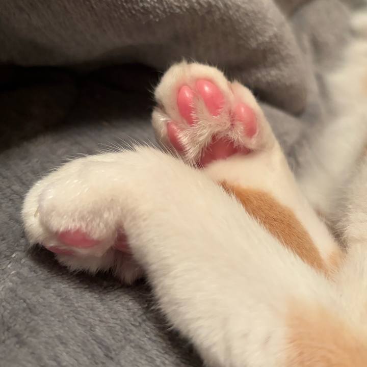 E26ecd60 1190 4356 b394 9270dcfc3c2d 1710508276610