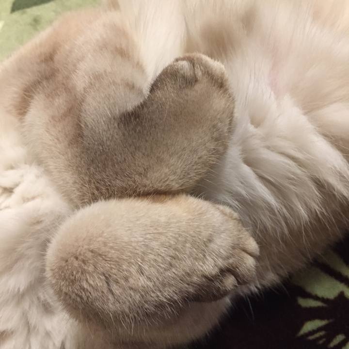 E26efc9e ab05 4d2a b0a8 1222a696241c 1579097889027