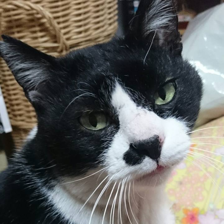 E26f2f49 ca7a 492c bc94 db317531d5c7 1517109232318