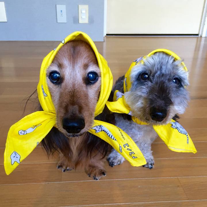 E26f473c de71 45ff b78d 2db8a0d58814 1590914849428