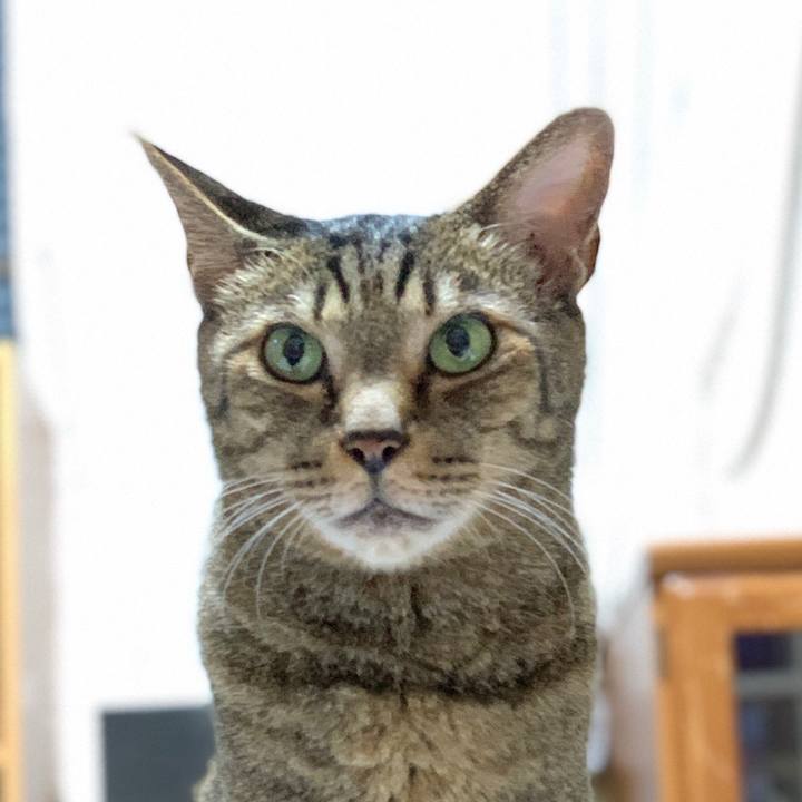 E26f6f71 4f78 4eff 8ba4 68bf665f8585 1569374443695