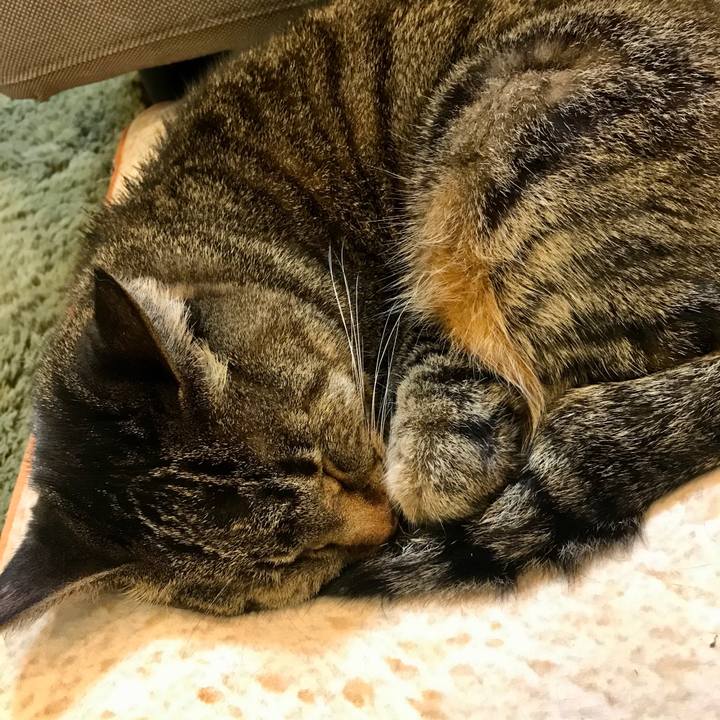 E26f733e 320e 4296 a100 0827279bfb5a 1579744515388