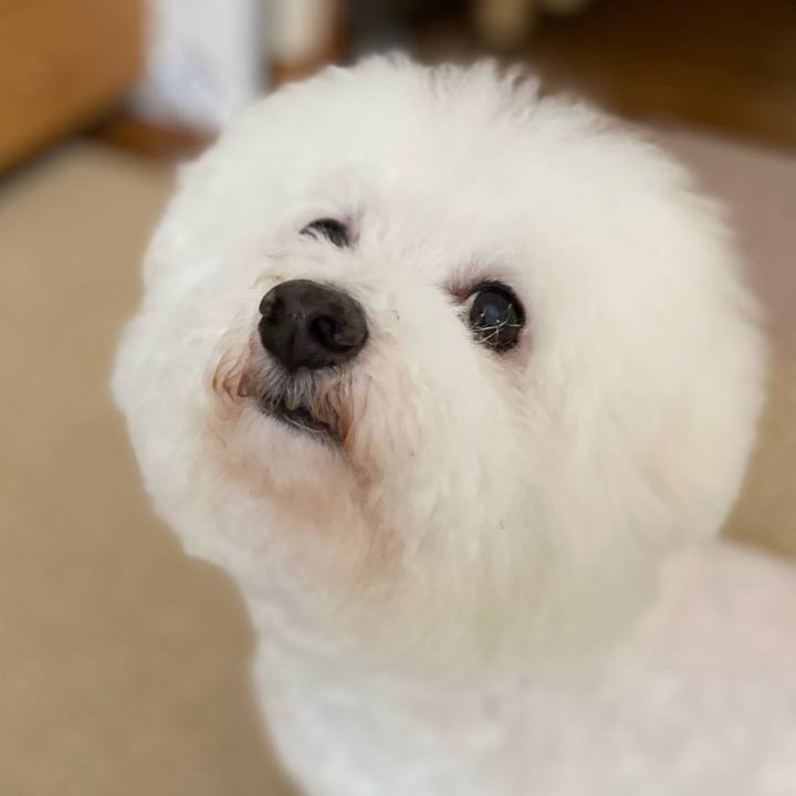 E26f8a09 2167 4886 8abb f3e10998609d 1730524544187