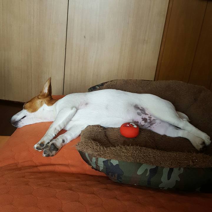 E26fb0d8 9085 41d7 8a28 51e14c790e8b 1556934026604