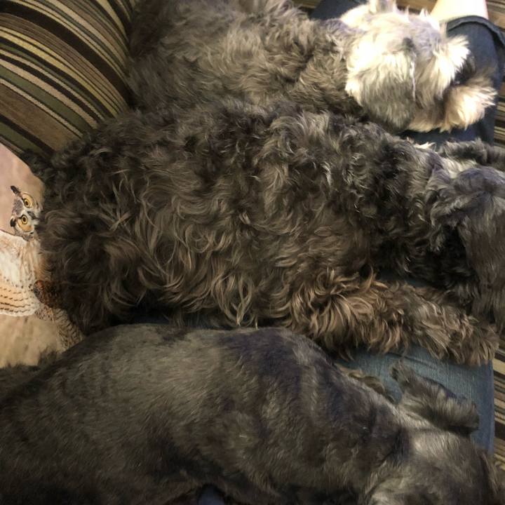 E26fb154 e2fe 4ca5 b254 c692307b813a 1518845554830