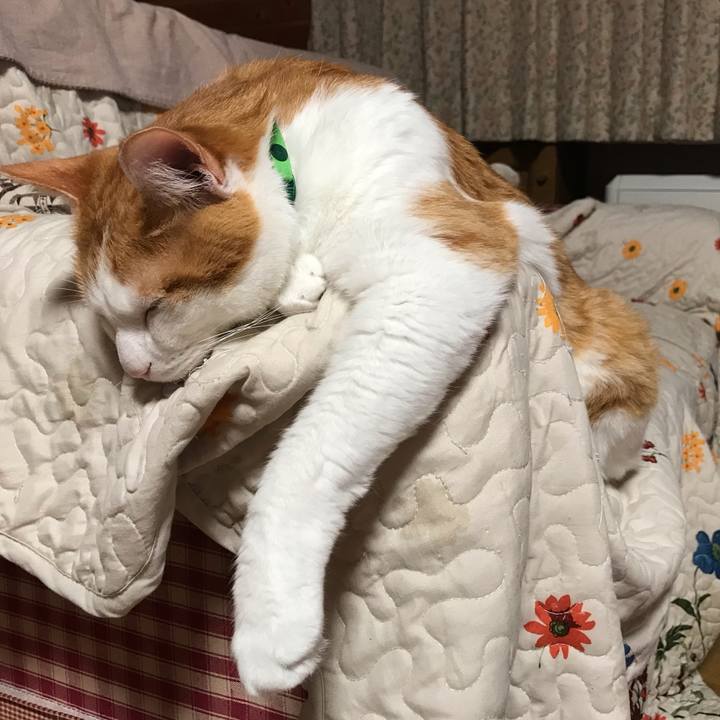 E26fdc0c 830e 496c 9572 19fe225f31df 1591107356820