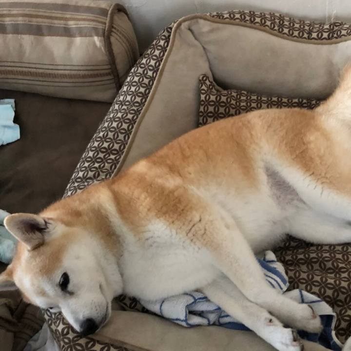 E270275e 5540 410a 8b96 fbbb3d610822 1536129551256