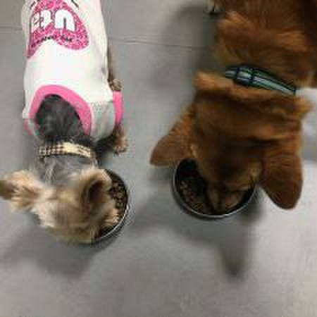 E2708bde 1e10 4eb3 b745 729829f28dbd 1555879326055