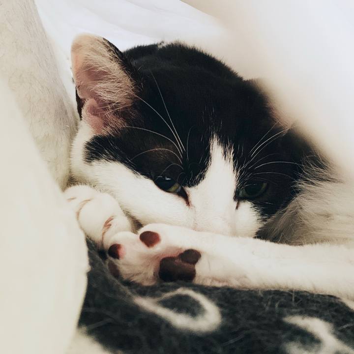 E270960e 35d0 42ed 89de 6cd213b9f857 1555209515432