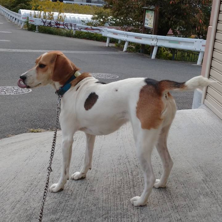 E2710ec1 45cc 4b9f 9491 848686f4354a 1604030215736