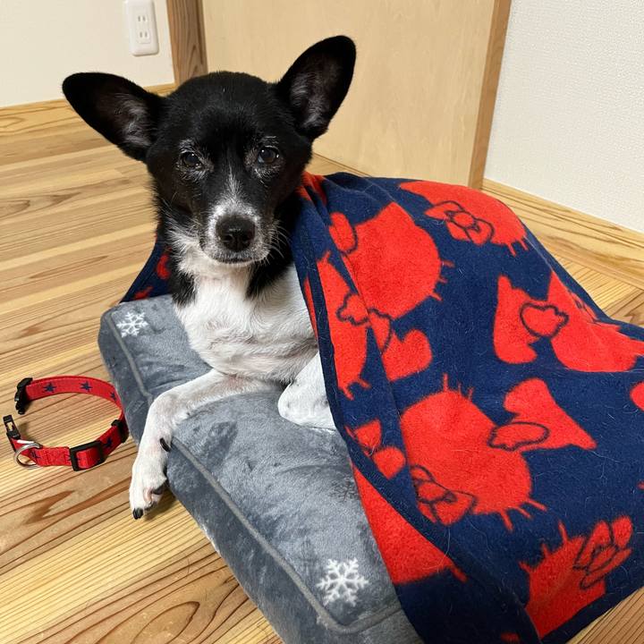 E271166f bc9a 4513 8aea 7153de7b19f6 1700062587467