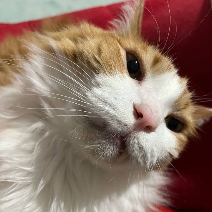 E2711abf 76ff 48aa 815e 7d9dbabef398 1676022823269