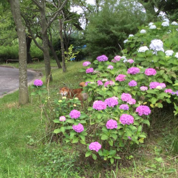 E2717219 0659 4c6e a98b 21cb74d7b91f 1592345822703