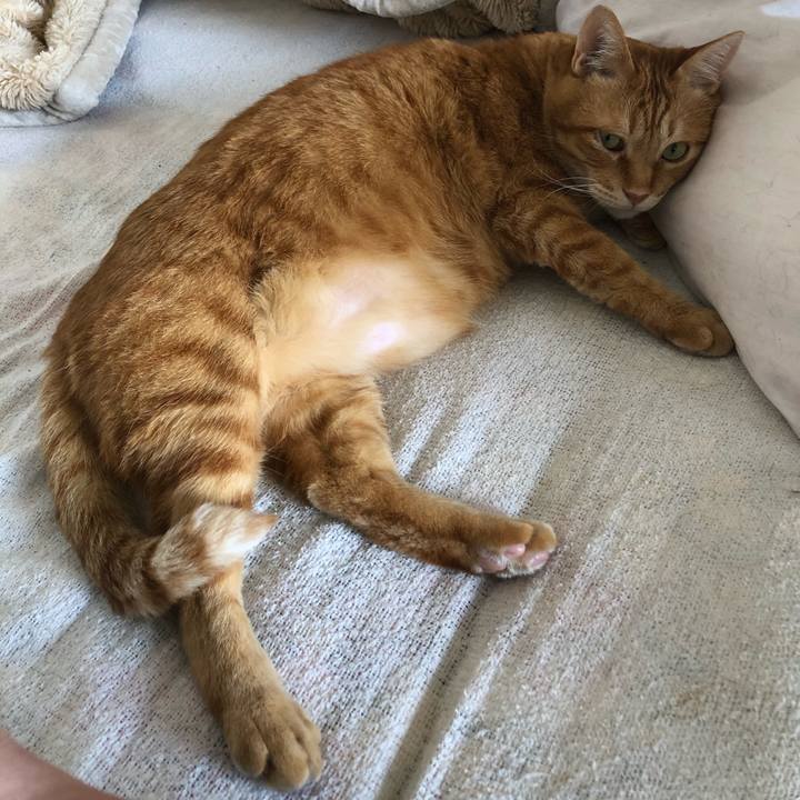 E2717f30 80f2 4ba4 b5b5 476d30f1df2a 1620191580874