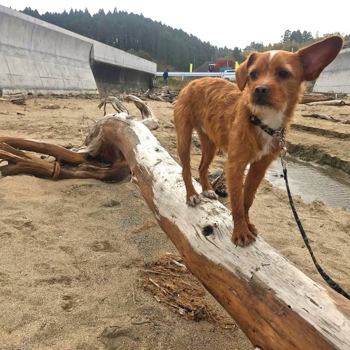 E2719a58 d58c 40b9 8b3d 36523c60417b 1556753535086