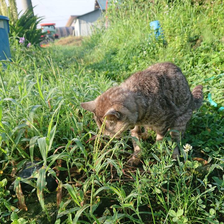 E271ca85 a688 4437 bf5c 33a955cb140e 1597011673075