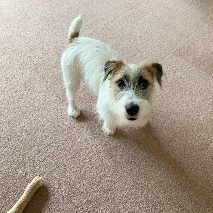 E2720f2a bee9 4304 b8bc 1871e8d36014 1571283751749