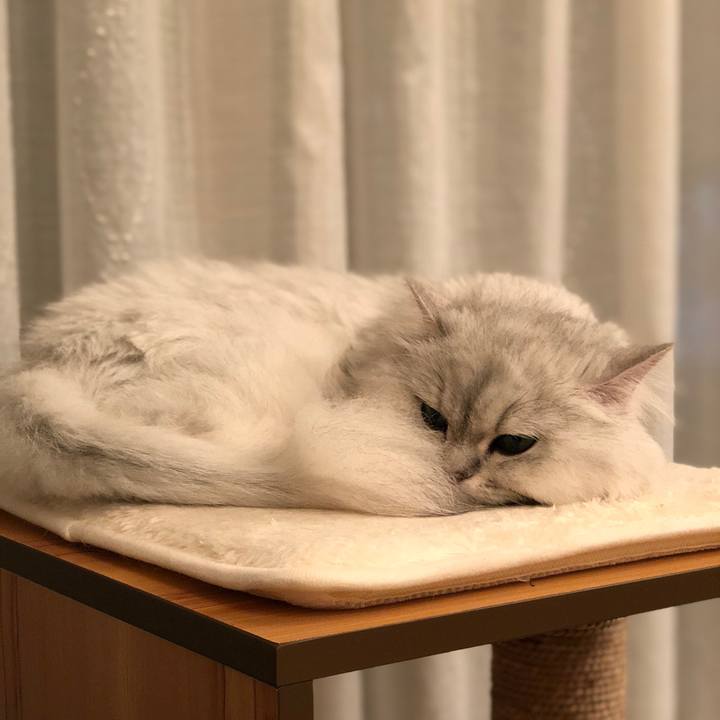 E27225f3 03a9 40cd ac54 dfa063726ca0 1529582540096