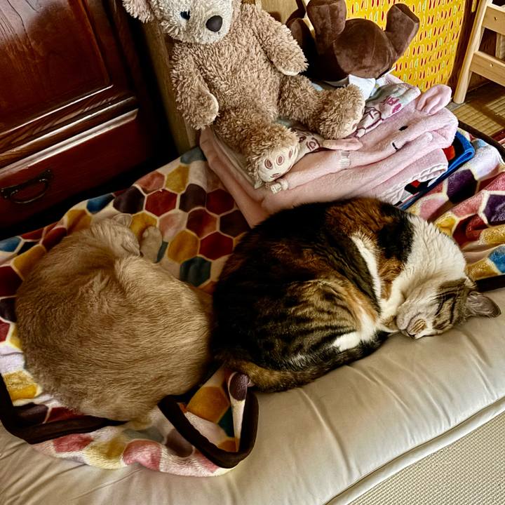 E27228f7 c84e 437c 8c97 165da0d9ff68 1715863698375