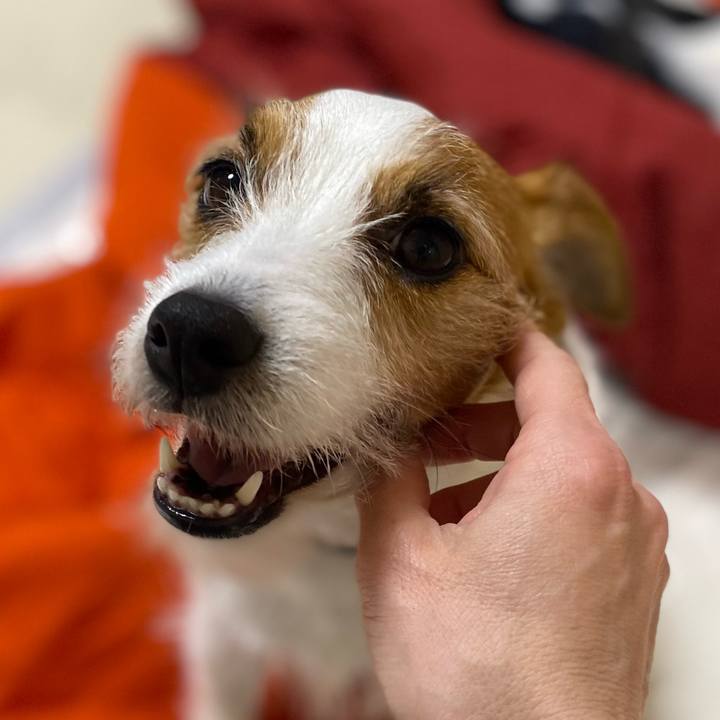 E2728c39 8ea4 40f1 9e2e 09b31f2b0d84 1775168482626