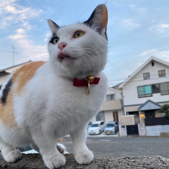 E2729c86 1255 4e5a aabc 01b61ef87747 1637187329264