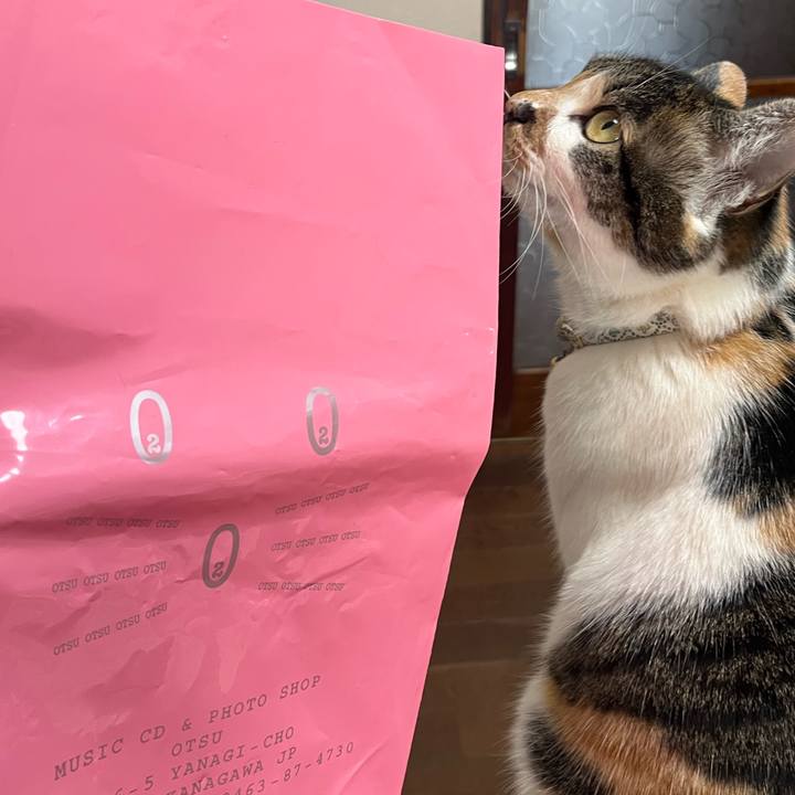 E272af27 1983 4deb 8f5b 37ebb5853a13 1771729356854