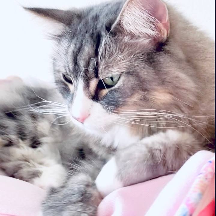 E272be2f 457f 449f a7e6 e4ca4ae001e4 1623458932375