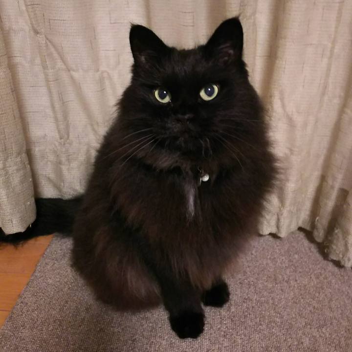 E272c001 df3c 4c2e bab6 e47199de4c7d 1535120031407