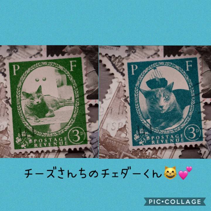 E272d045 e319 498b 97b6 d96c8c981012 1570092714788