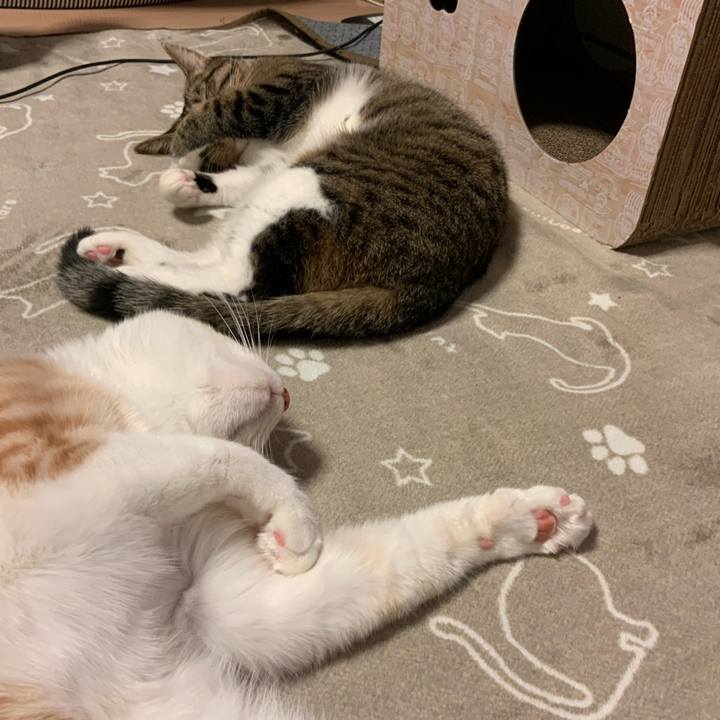 E272d6b1 624b 4f66 974b 8ce172559e6f 1666698660119