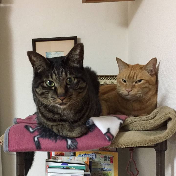 E272d899 c0e1 455e 9825 d98bdebaebc8 1558019302302