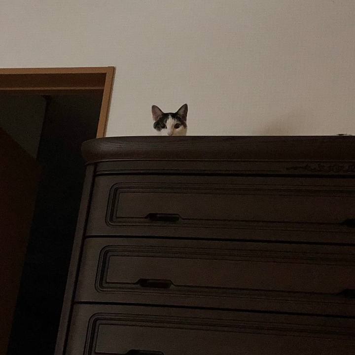 E272e405 170a 4059 baa7 57ea358bcd93 1633826091248