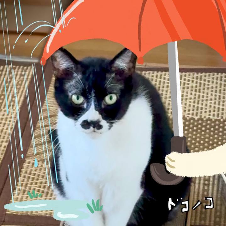 E2730fe0 0abc 4cbe bb28 61d1c24704e2 1749170182700