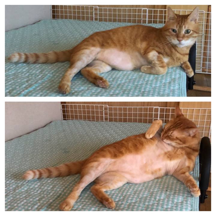 E2731104 6a59 40c0 aa3f 2cf1c8d9eadc 1660247993230