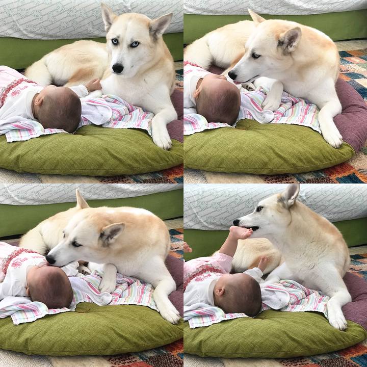 E2733392 b5de 455c a5f2 ebe3cdfd4621 1537678764231