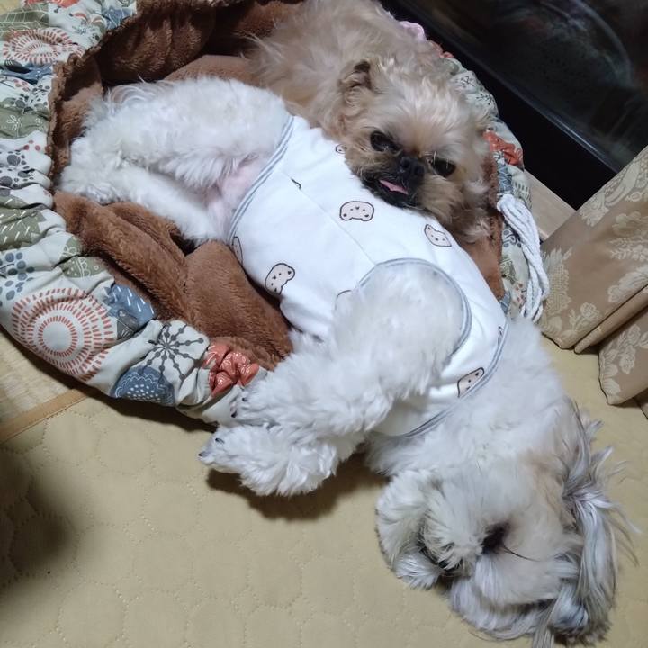 E2736125 c433 40db b41e e19dc6dd9142 1703334205396