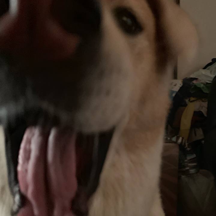 E273b81c 2cc0 4093 bbe3 49a8f074f849 1570286605857