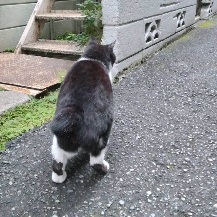 E273bbbf face 4f6f a4e7 d25e113ffd87 1699774343338