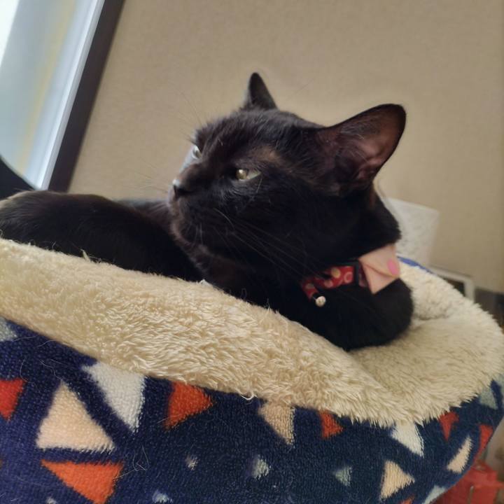 E273d364 3139 4bf9 ae62 f746d68f9452 1634173537225