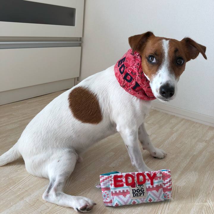 E273f2d1 c6ab 4b5c ac82 9c1ffca9bd33 1535178960081