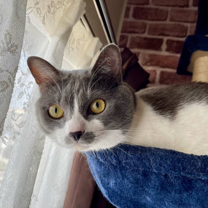 E2745f82 c0e6 42d7 b2df 6828ff7ad33b 1662072854560