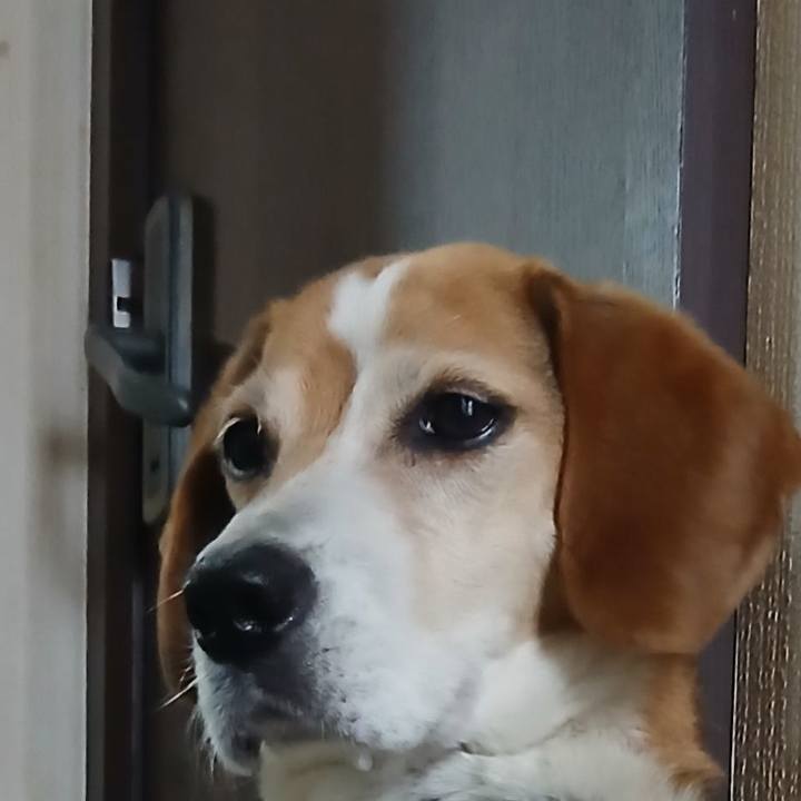 E2749ac6 fa19 4189 9d53 4db6ac589e95 1751110847110