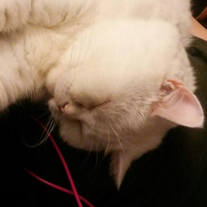 E274d2f5 4dcc 4346 9335 bba90b8206bf 1597118509677