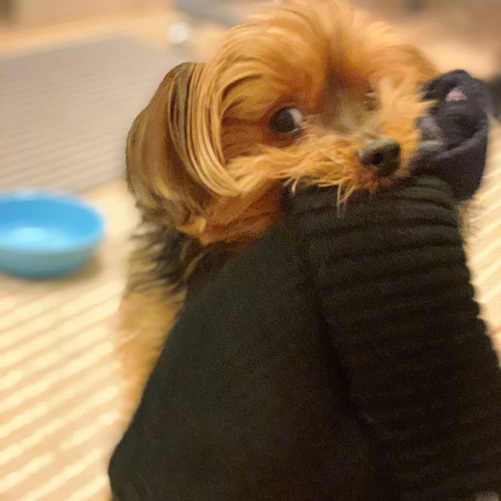 E27511c0 b6b6 4302 be25 de9b5e90117f 1611308021152