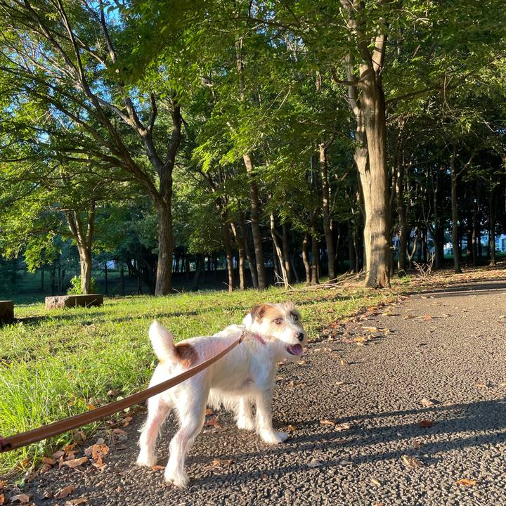 E275229b 3eea 4f96 8305 772f09d09e65 1664527722301